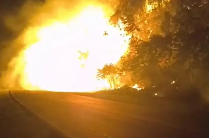 Incêndio em vegetação bloqueia trecho da SP-222, em Iguape/SP
