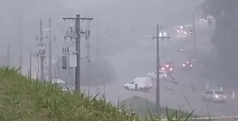 Árvore cai e interdita rodovia, em São Roque/SP