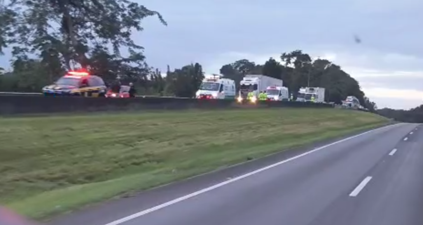 Atropelamento de pedestre é registrado na Rodovia Régis Bittencourt