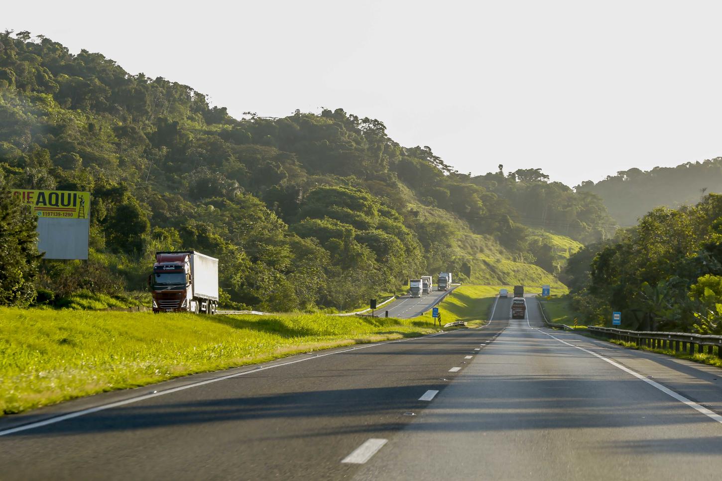 Mortes na Régis Bittencourt caem 8% no primeiro semestre de 2025