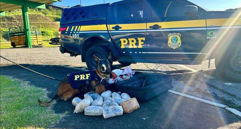 PRF apreende 19 kg de haxixe em ônibus na Rodovia Régis Bittencourt