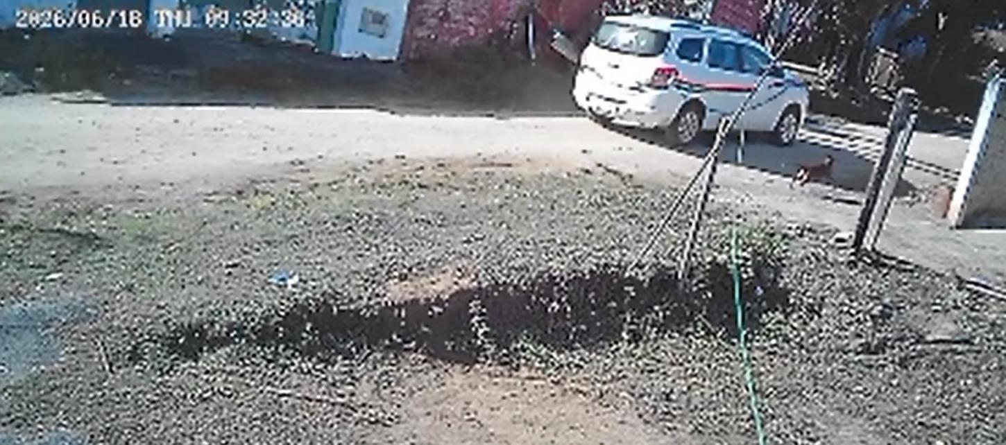 Cachorro morre após ser atropelado por veículo oficial da Prefeitura de Pariquera-Açu; motorista deixa local sem prestar socorro