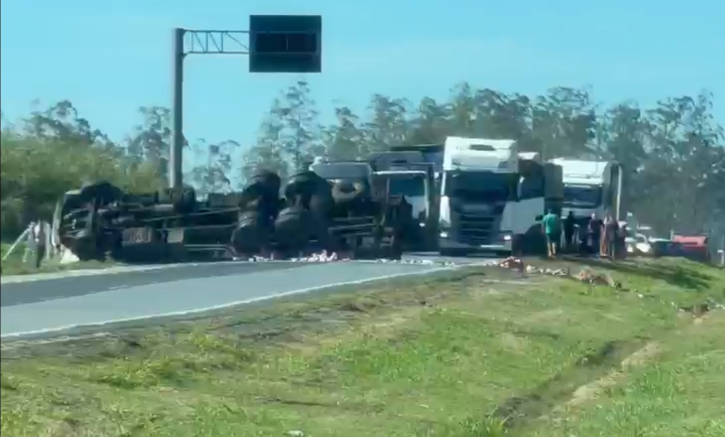 Imagem: Reprodução