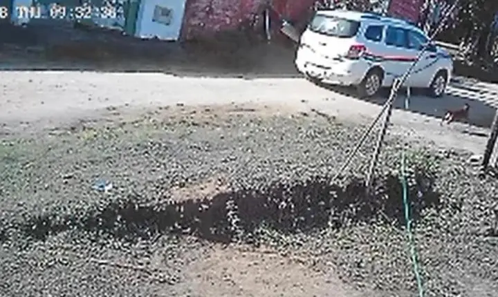 Cachorro morre após ser atropelado por veículo oficial da Prefeitura de Pariquera-Açu; motorista deixa local sem prestar socorro