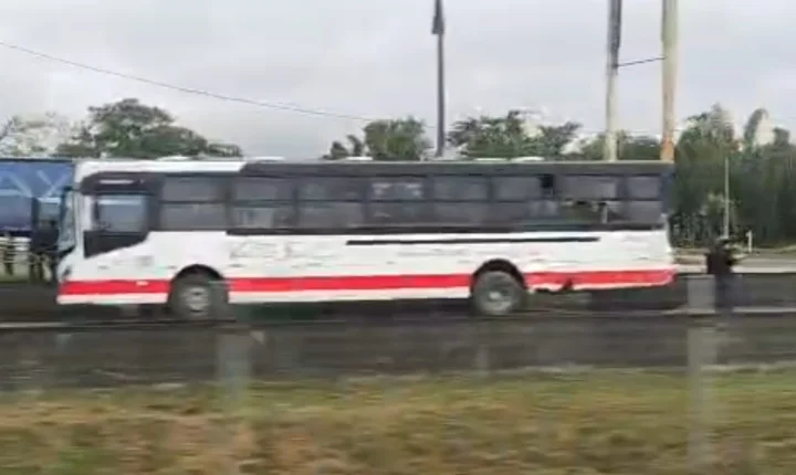 Colisão entre van e ônibus deixa motorista ferido na BR-116, em Miracatu/SP