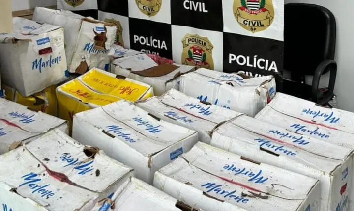 Polícia Civil prende homem por furto de carga após acidente com morte na Régis Bittencourt