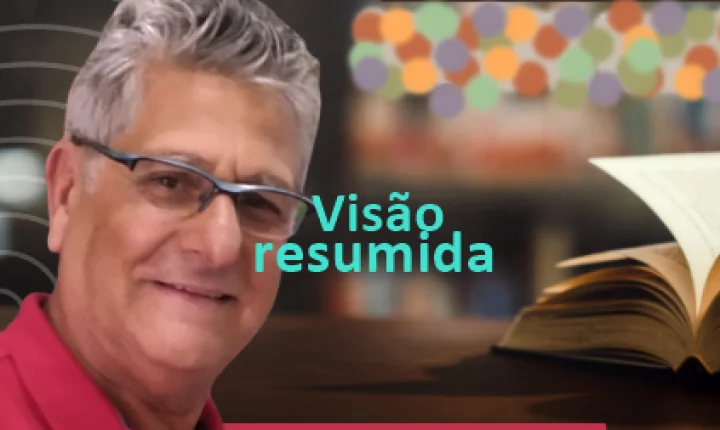 VISÃO RESUMIDA
